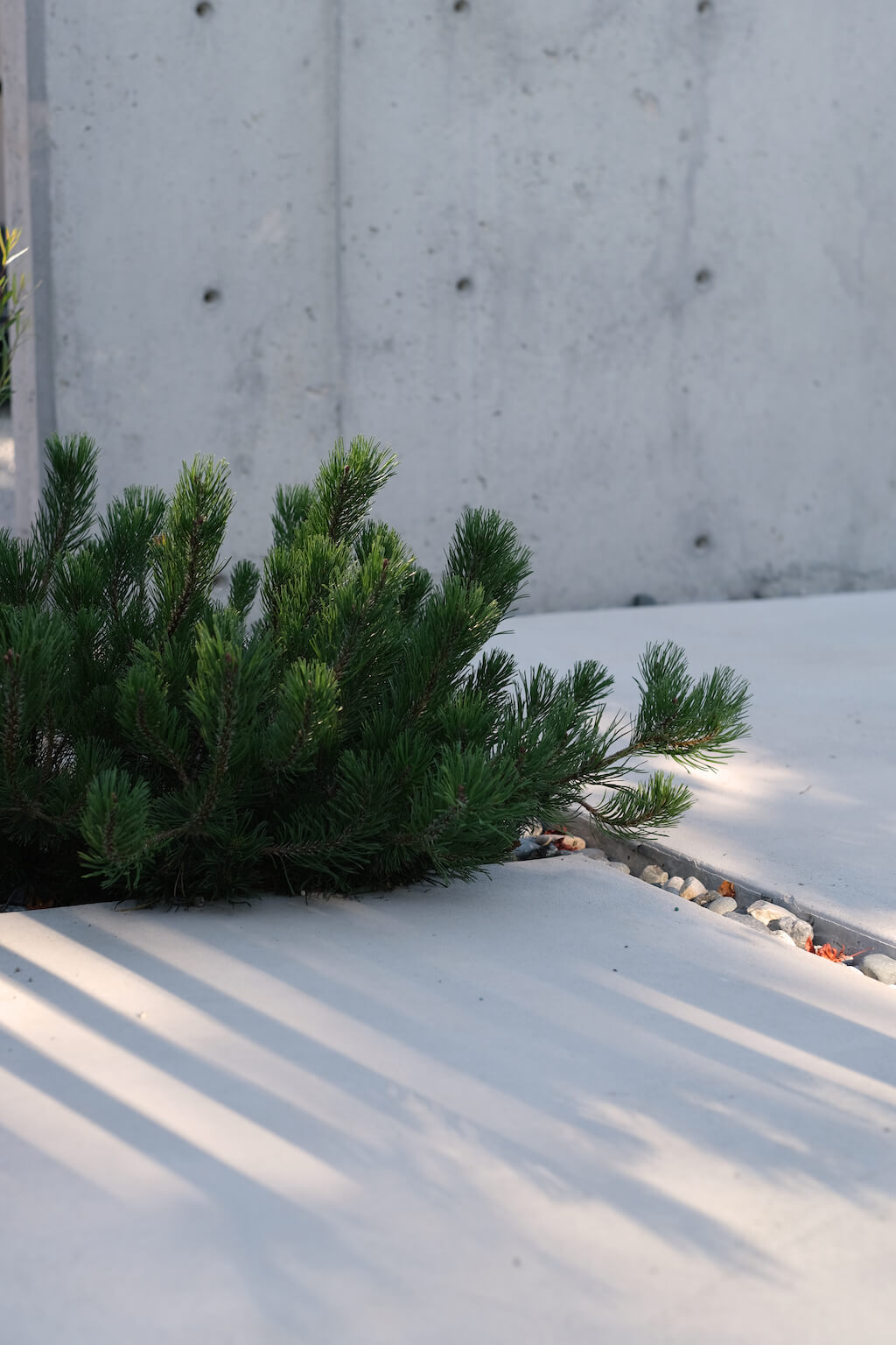 Alexander Suvajac landscape design