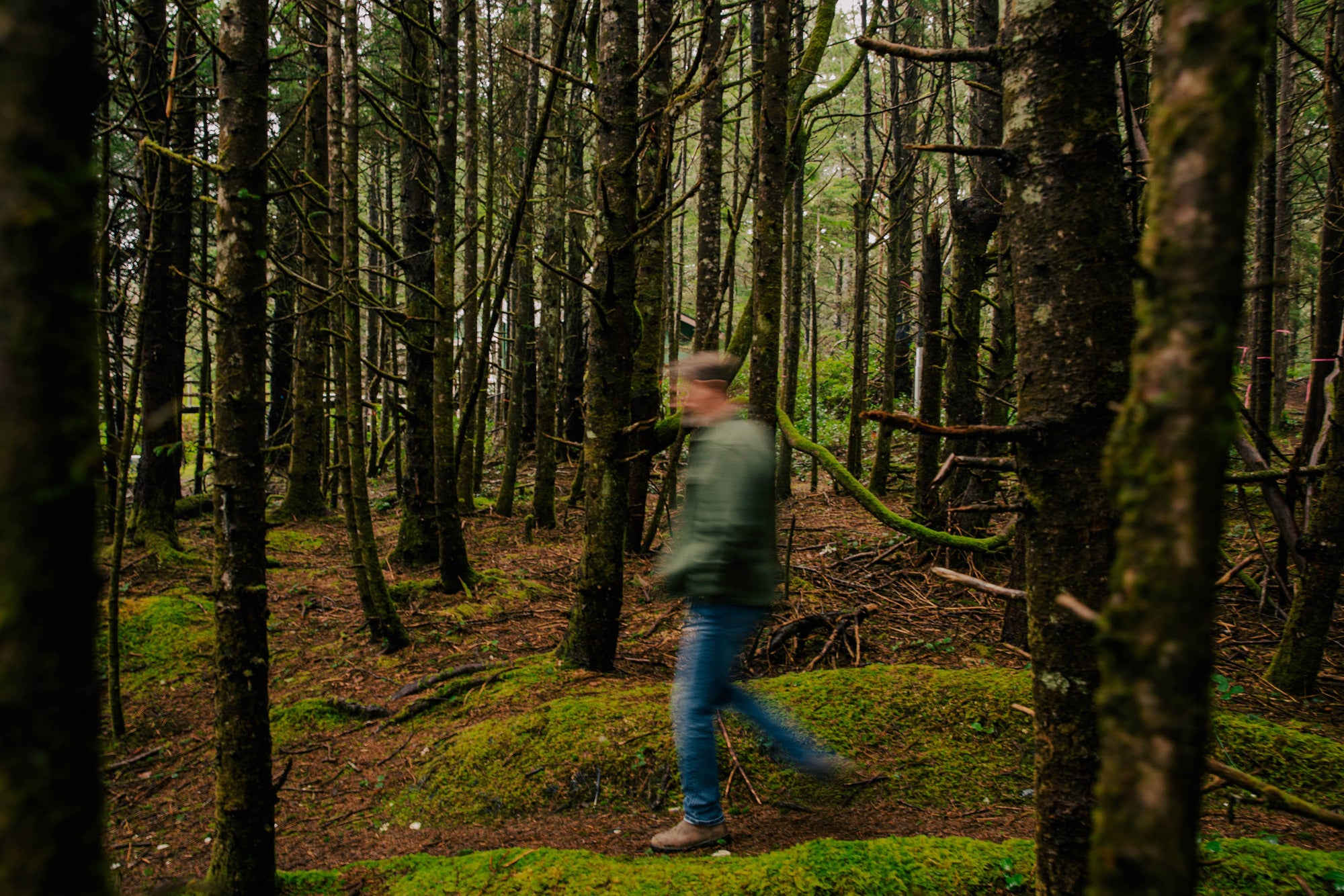 mindful walk through trees