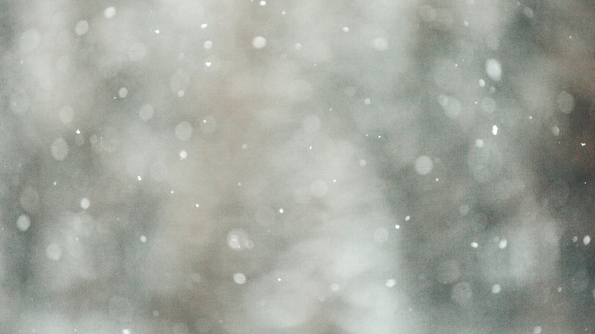 welcoming winter - snow