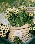 Durable and kink-resistant garden hose in 25, 50, 100 ft lengths