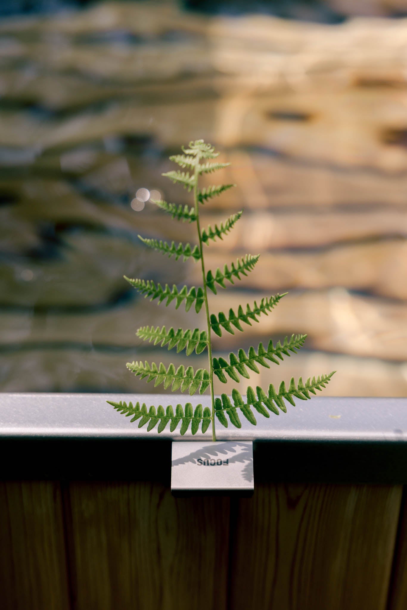 focus clip on GOODLAND Cold Tub