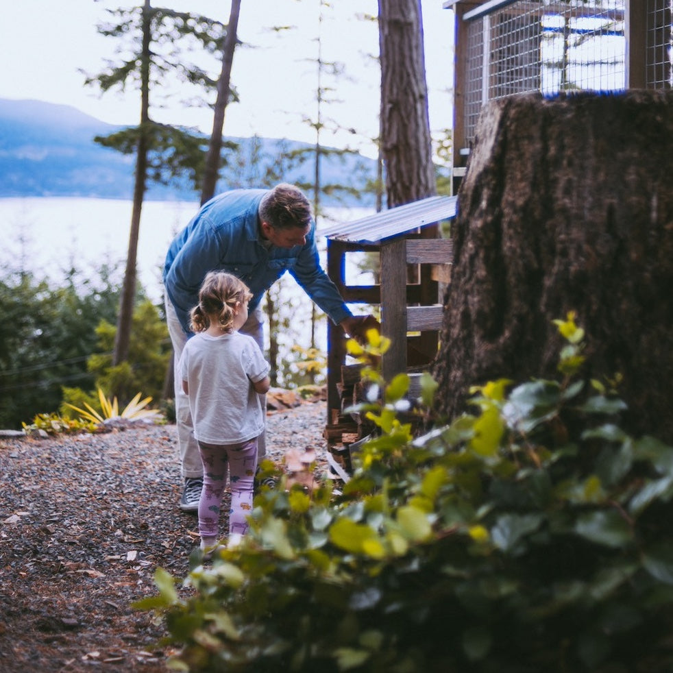 collecting firewood with family