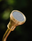 brass nozzle attached to watering wand