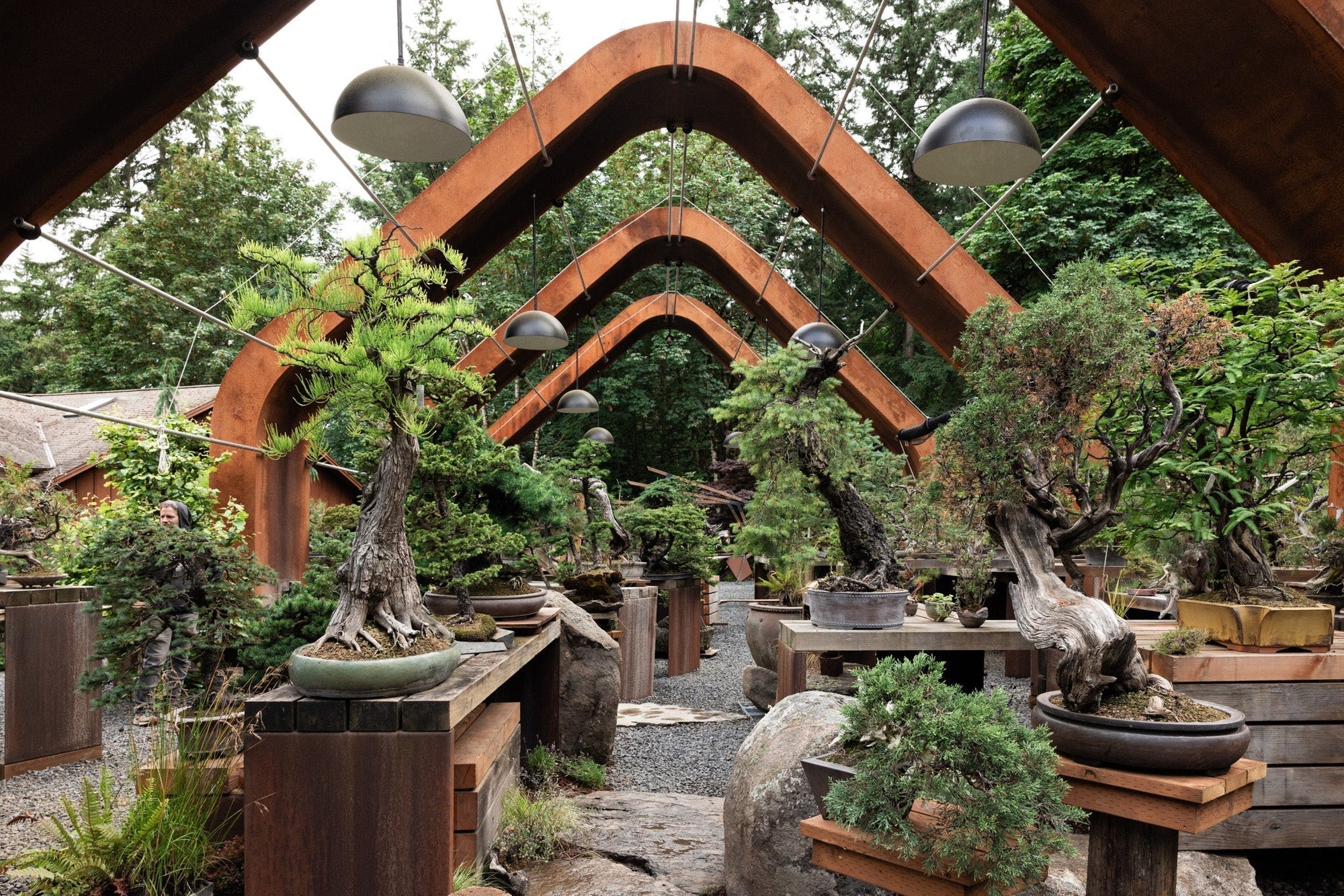 A Spotlight on Bonsai Mirai