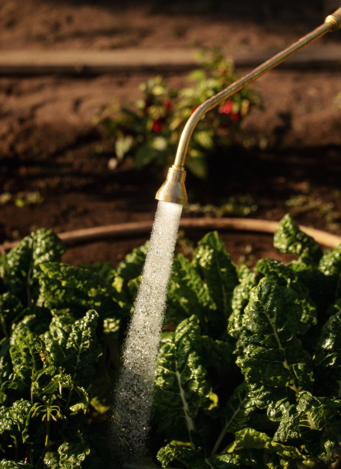 Why We Made This: Garden Watering Wand