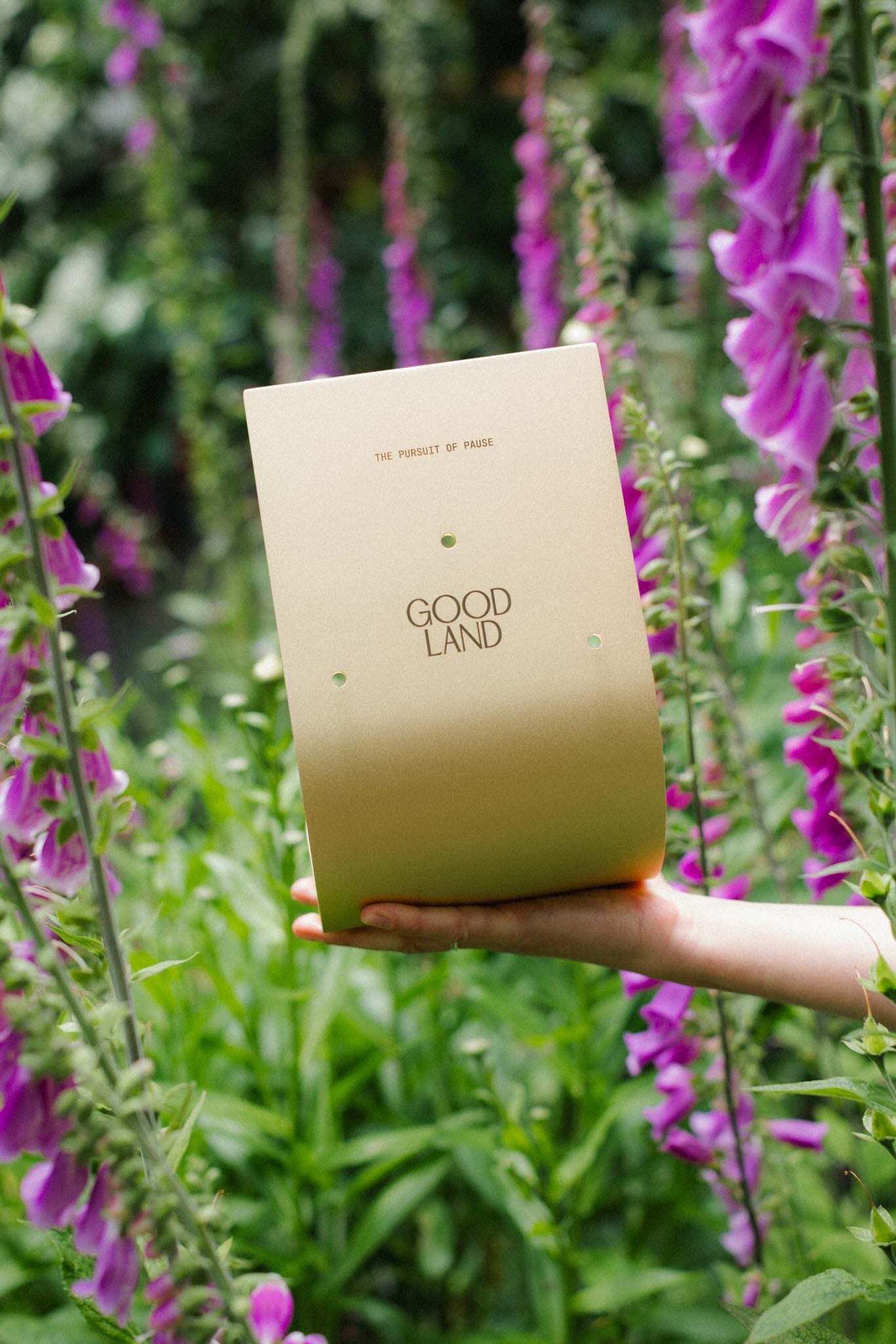 goodland garden hose holder in brass 