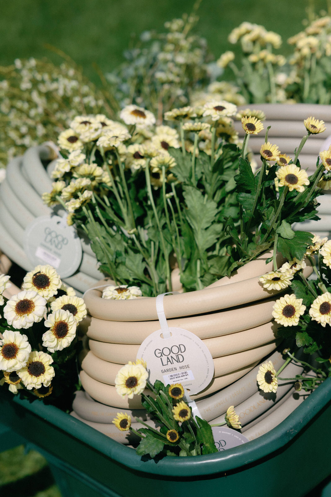 luxury garden hose in 25, 50, 100 ft