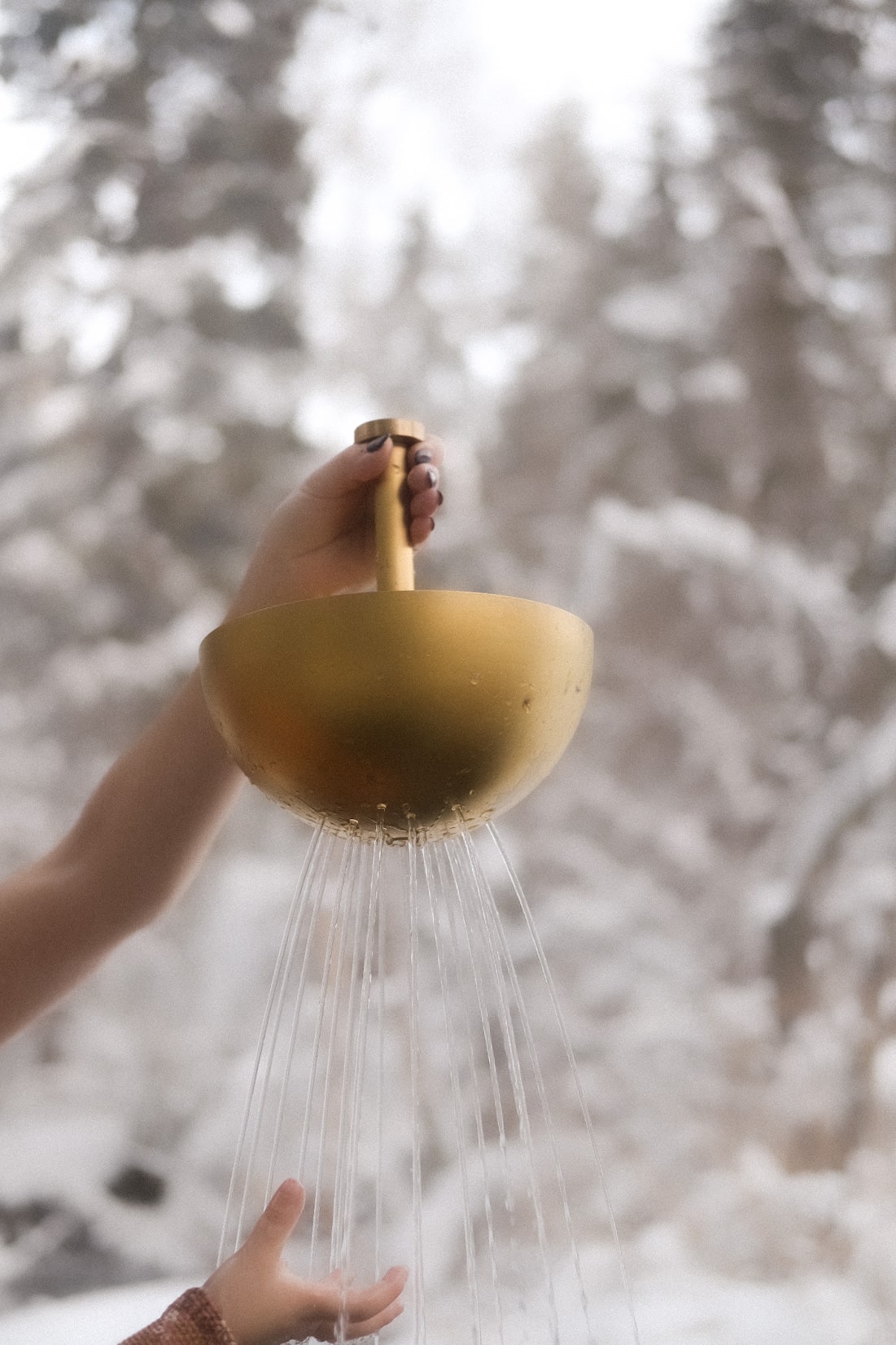 Bathing Hand Shower