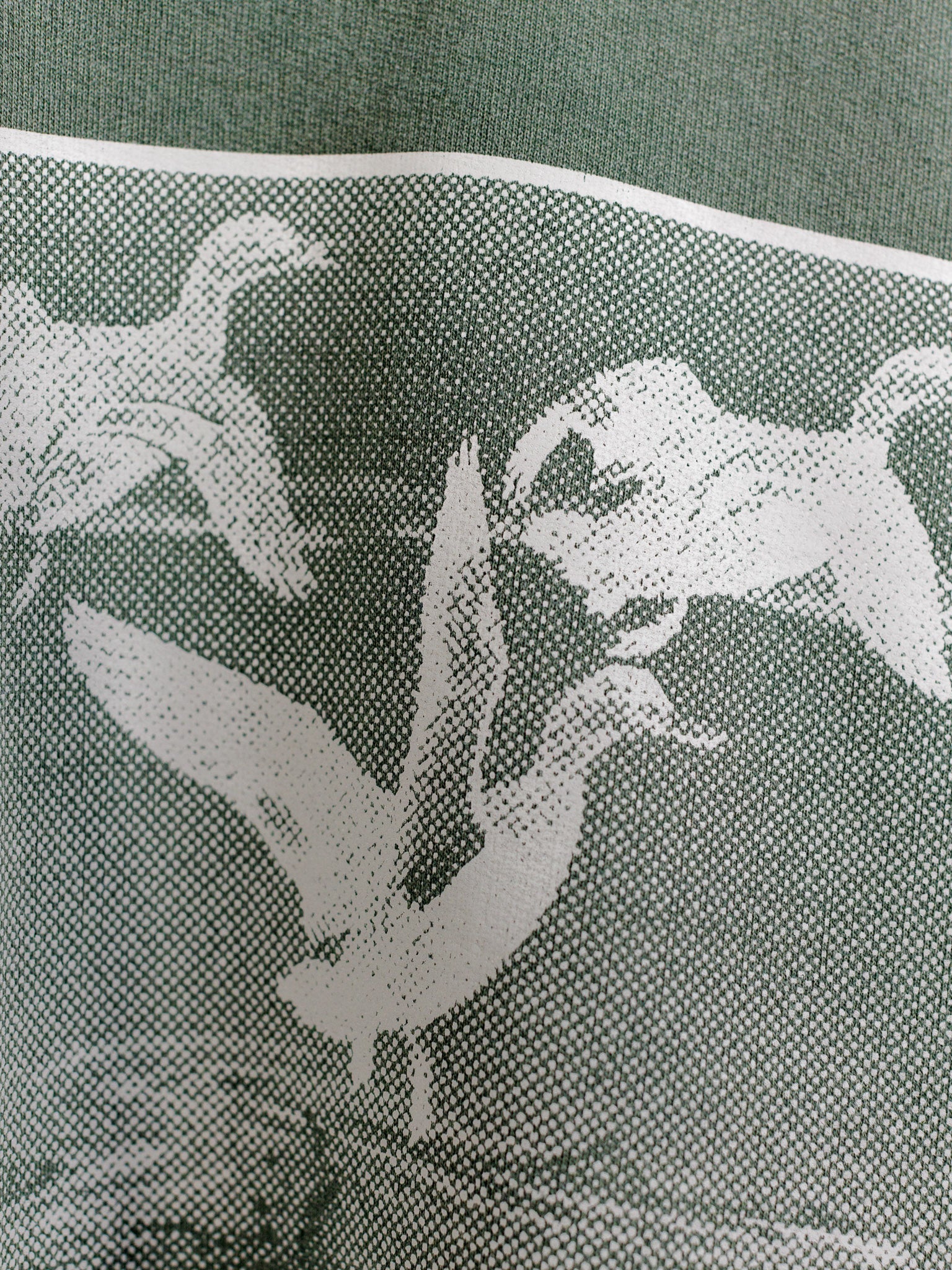 Vintage-inspired nature graphic on sweatshirt from GOODLAND