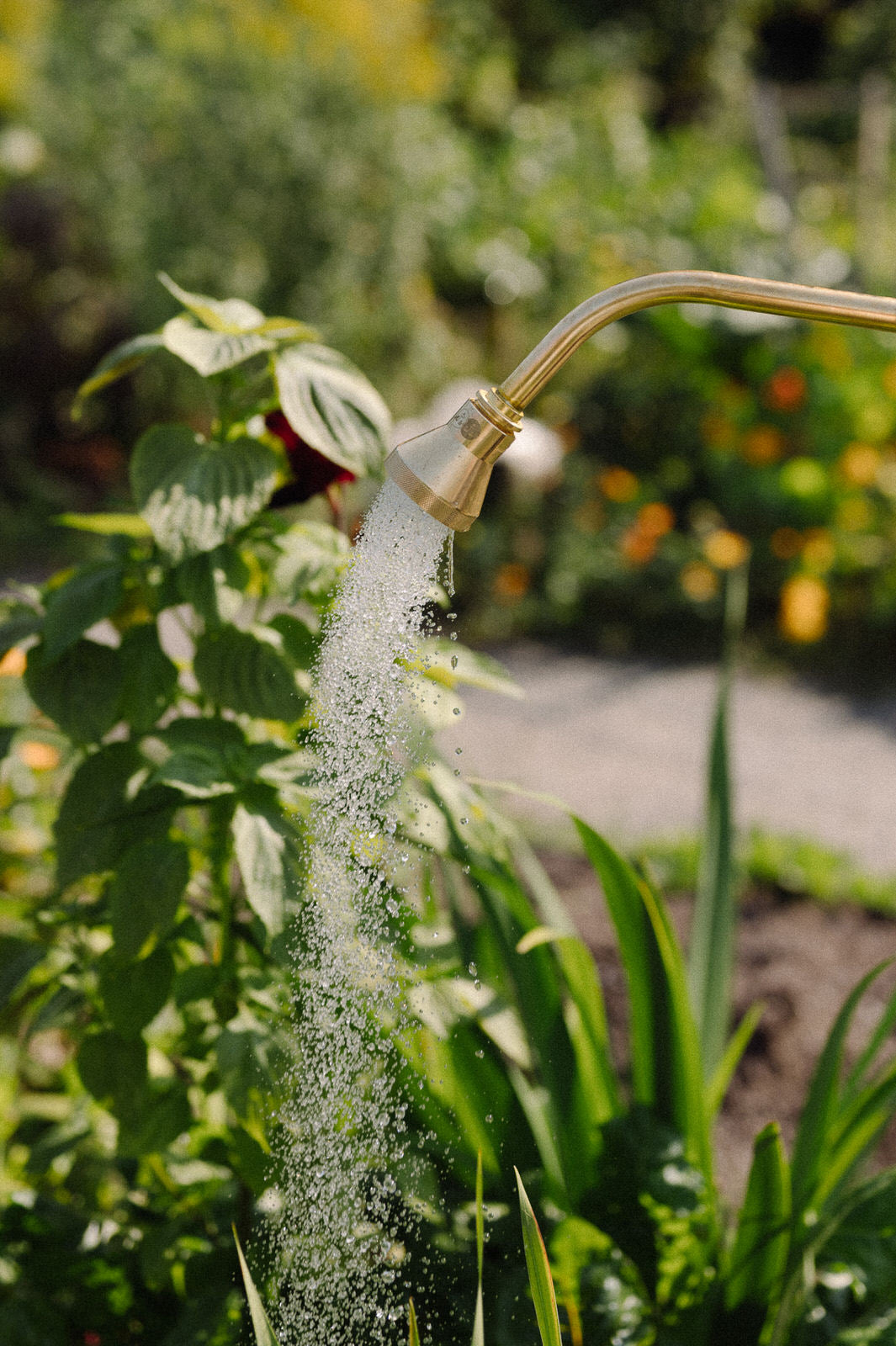 watering nozzle water shower for outdoors