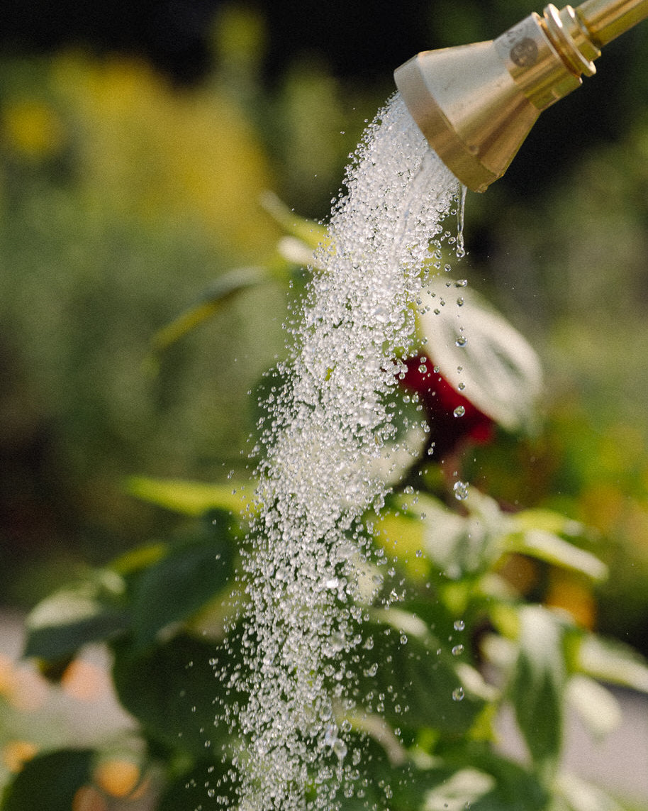 #option_nozzle_only watering nozzle made with lead free non toxic brass by goodland