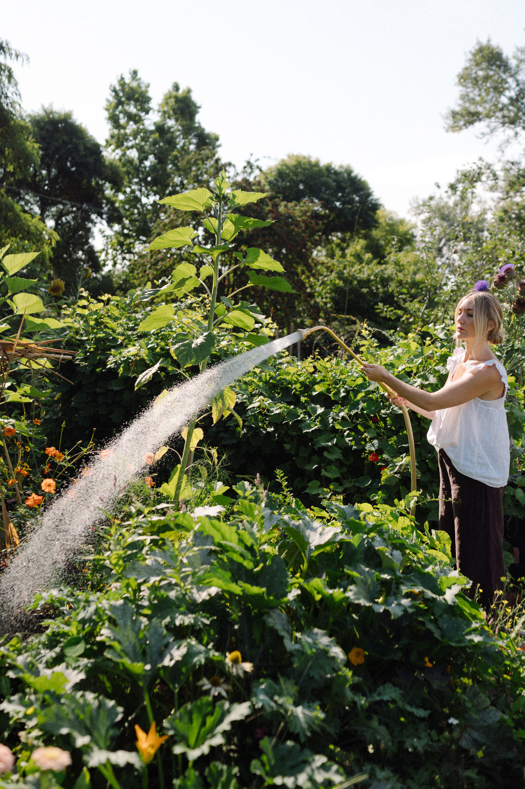 watering wand in brass for added reach and length in the garden