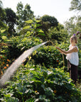 watering wand in brass for added reach and length in the garden