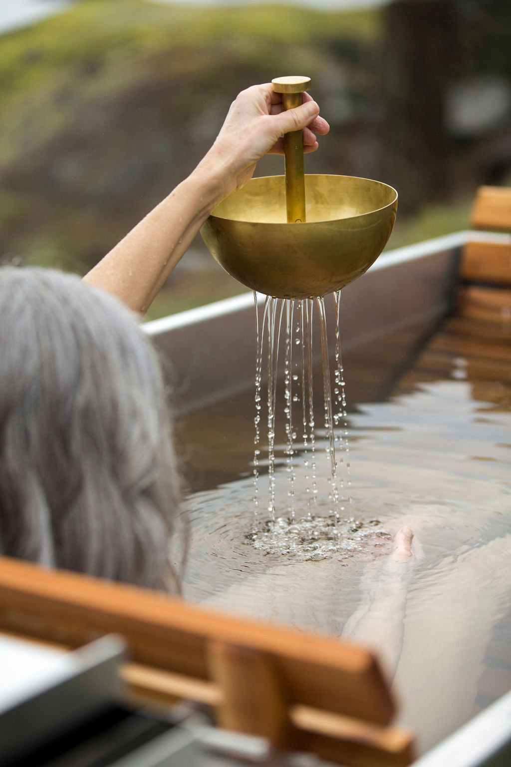 Goodland Brass Hand Shower